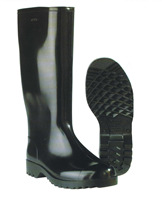 Nora Anton Wellingtons